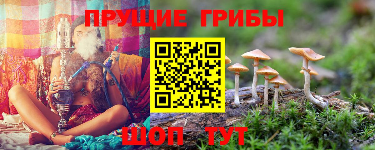 Бор  Галлюциногенные грибы мухоморы  закладки  Вход с VPN 