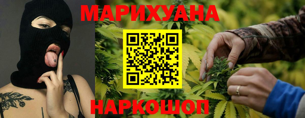 Конопля сатива Бор